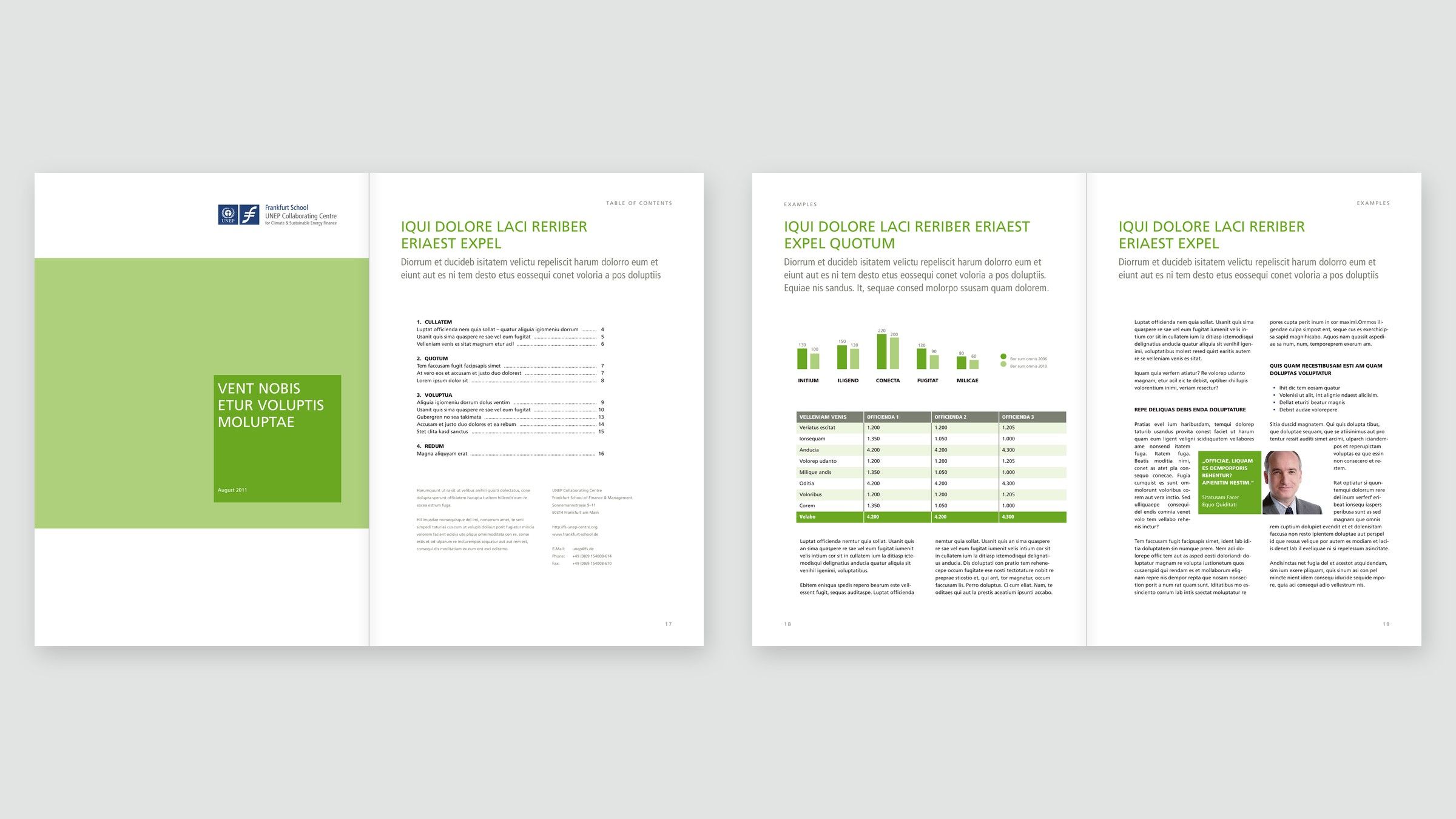 Sample pages from the design manual in green: cover and table of contents, bar chart, table and a text page with a quote